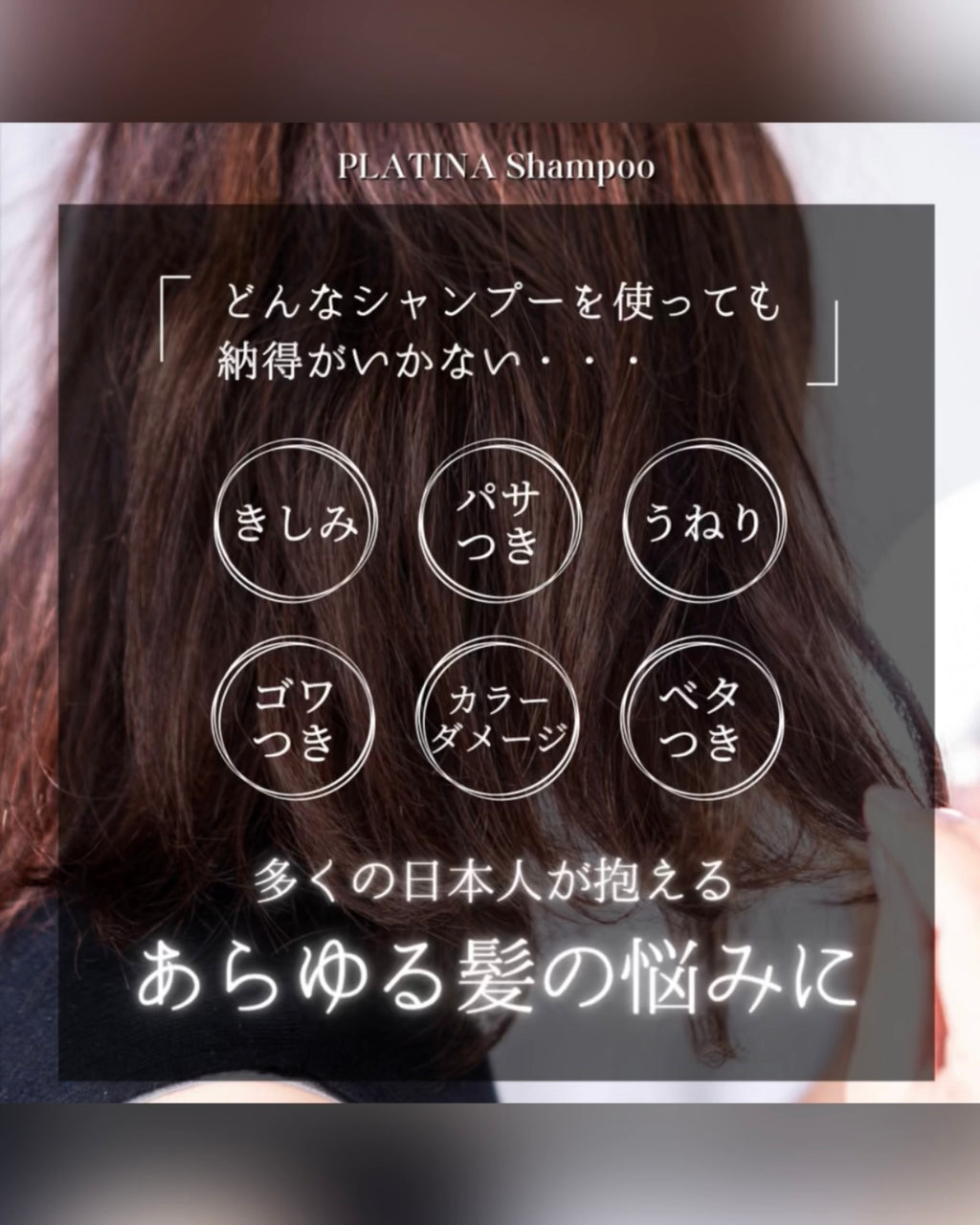 PLATINA Cashmere Shampoo(300g) or 定期便
