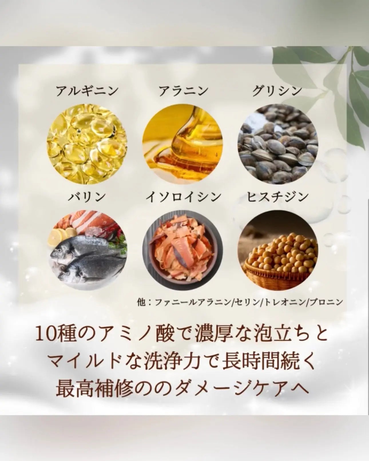 PLATINA Cashmere Shampoo(300g) or 定期便 私のストア